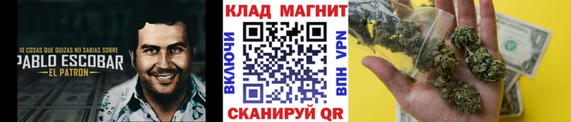 Как найти закладки Малоярославец Галлюциногенные грибы  Cocaine  mega вход  MDMA  СК  Каннабис  ГАШИШ 