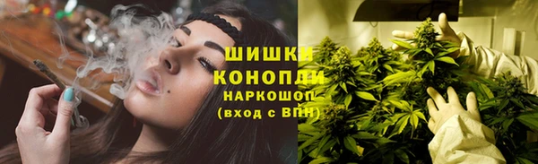 дурь Белокуриха