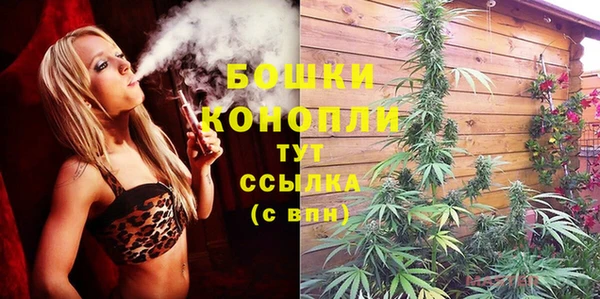 дурь Белокуриха
