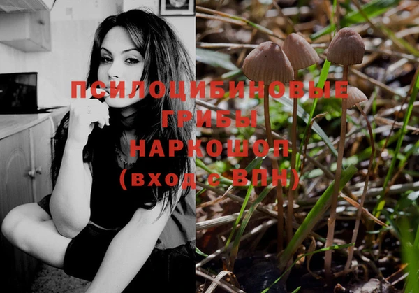 прущие крисы Беломорск