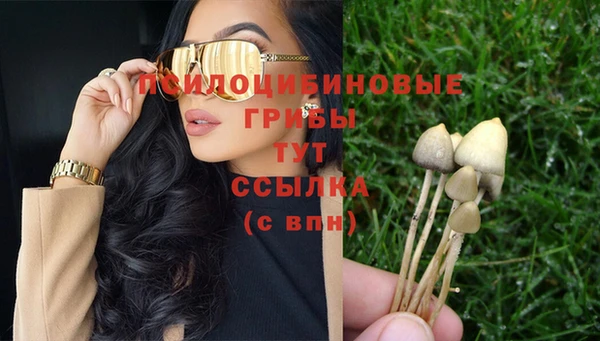прущие крисы Беломорск